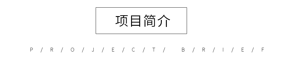 9557bc22dd53b32cd847f8535d17d1d5_1703485838957997.png